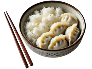 Dumpling Rice Bowl